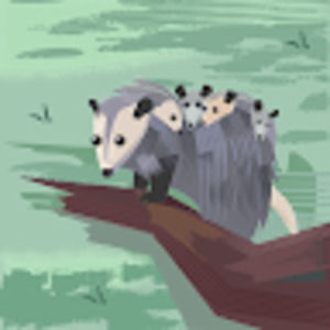 Meet your Posher, Joanny